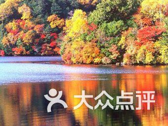 逃离隐秘的洞穴