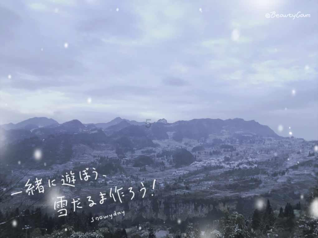 仅收官19天，娱乐圈的残酷真相，已在“繁花三美”身上显现！