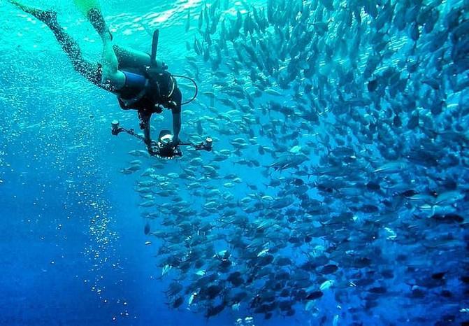 海军蓝