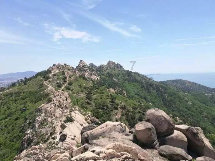 人工饲养繁殖东北虎,逐步实现“放虎归山”