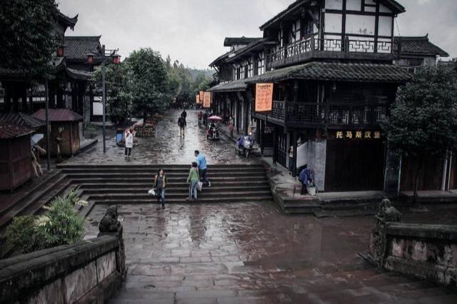 救援达尔马提亚狗