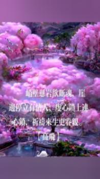 小锯鳄卡丁车竞赛